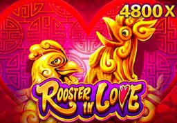 BU88 Rooster In Love